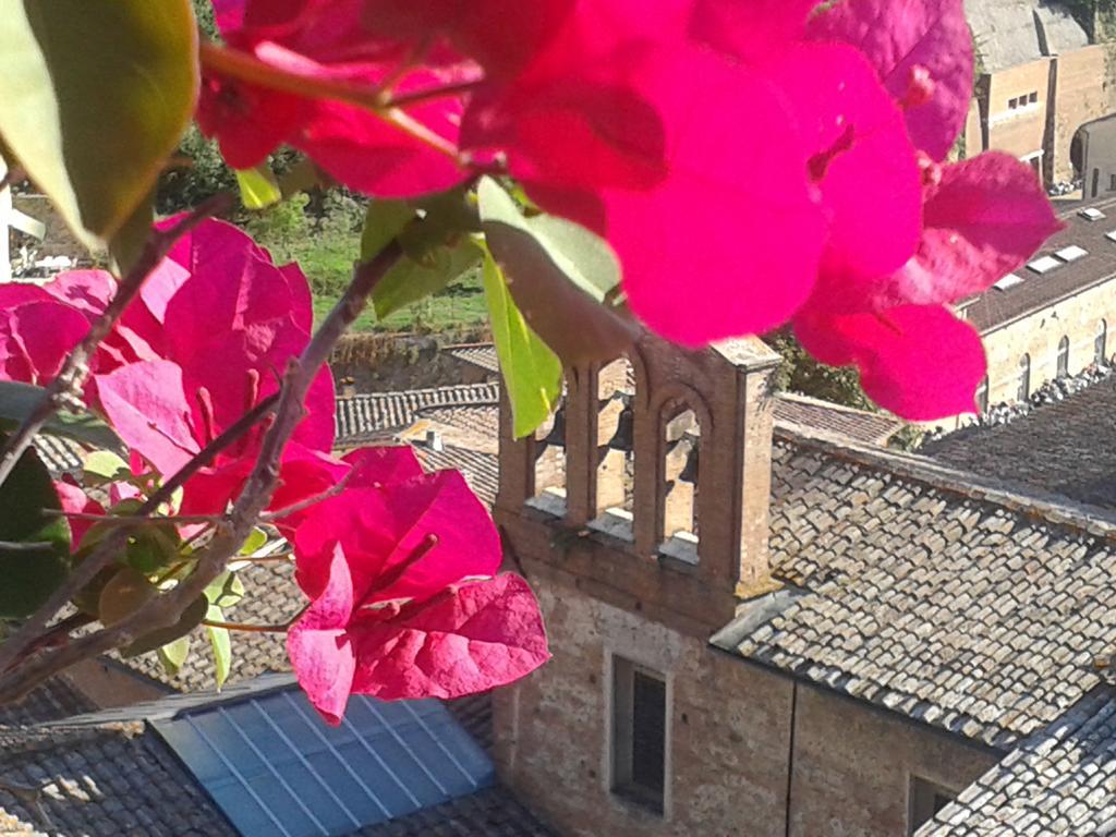 Residenza D'Epoca Campo Regio Relais Bed & Breakfast Siena Exterior photo